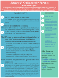 A thumbnail of the Endrew F. Guide for Parents. It has a salmon-colored title bar then a blue main body box and a green sidebar to the right.