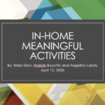 The title slide for the webinar, reading "In-Home Meaningful Activities by: Brian Dion, Nakiah Boyette, and Angeline Landy"